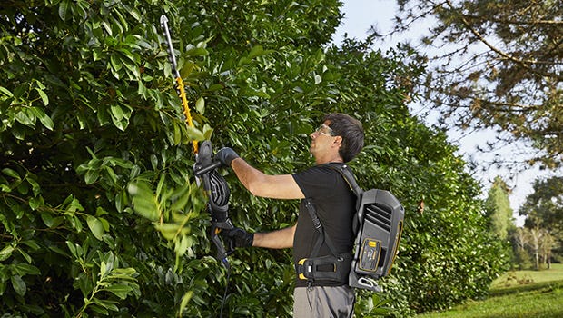 Cordless hedge trimmers