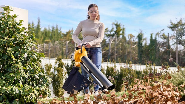 Souffleur/aspirateur de feuilles
