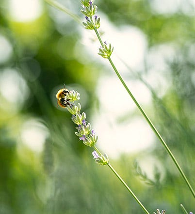 De natuur is in beweging