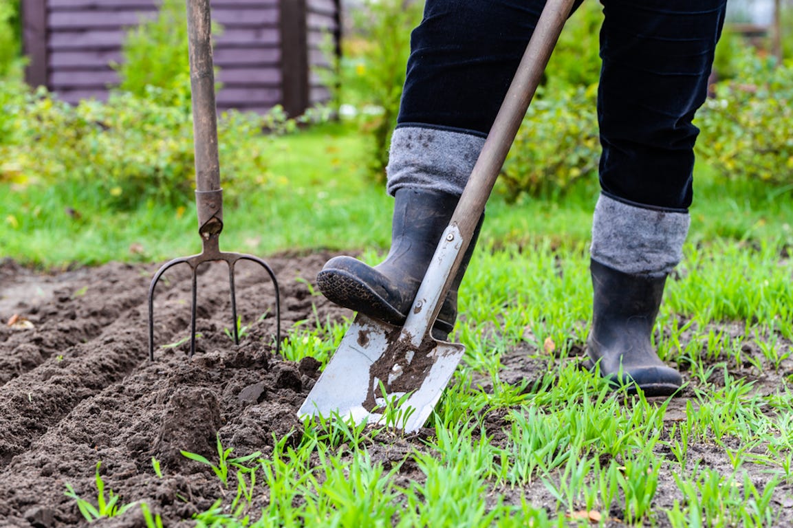 Jardinage + facile  La pelle de jardin multifonction est l'outil