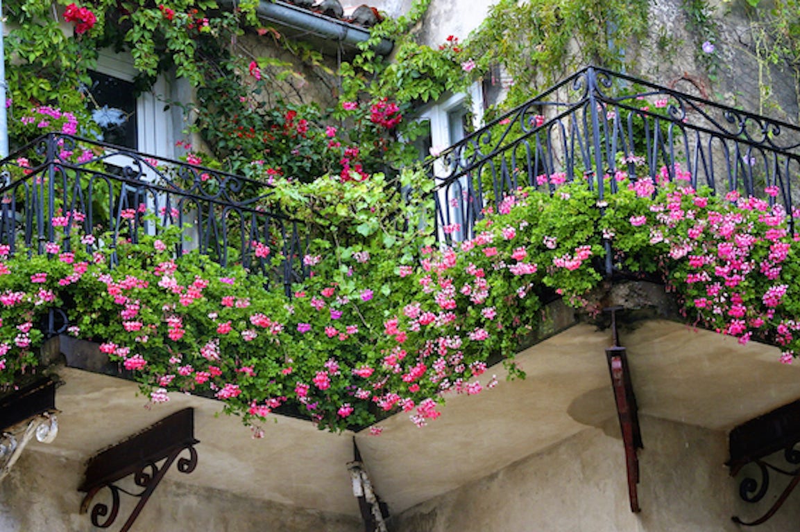 Conseils jardinage. Un jardin miniature sur son balcon