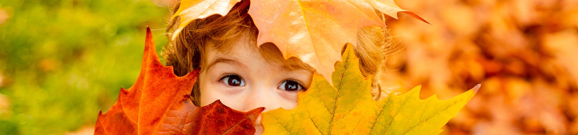 Kid face with yellow and red autumn leaves