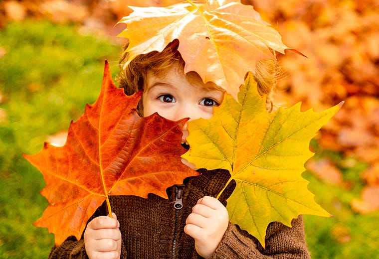 Kid face with yellow and red autumn leaves