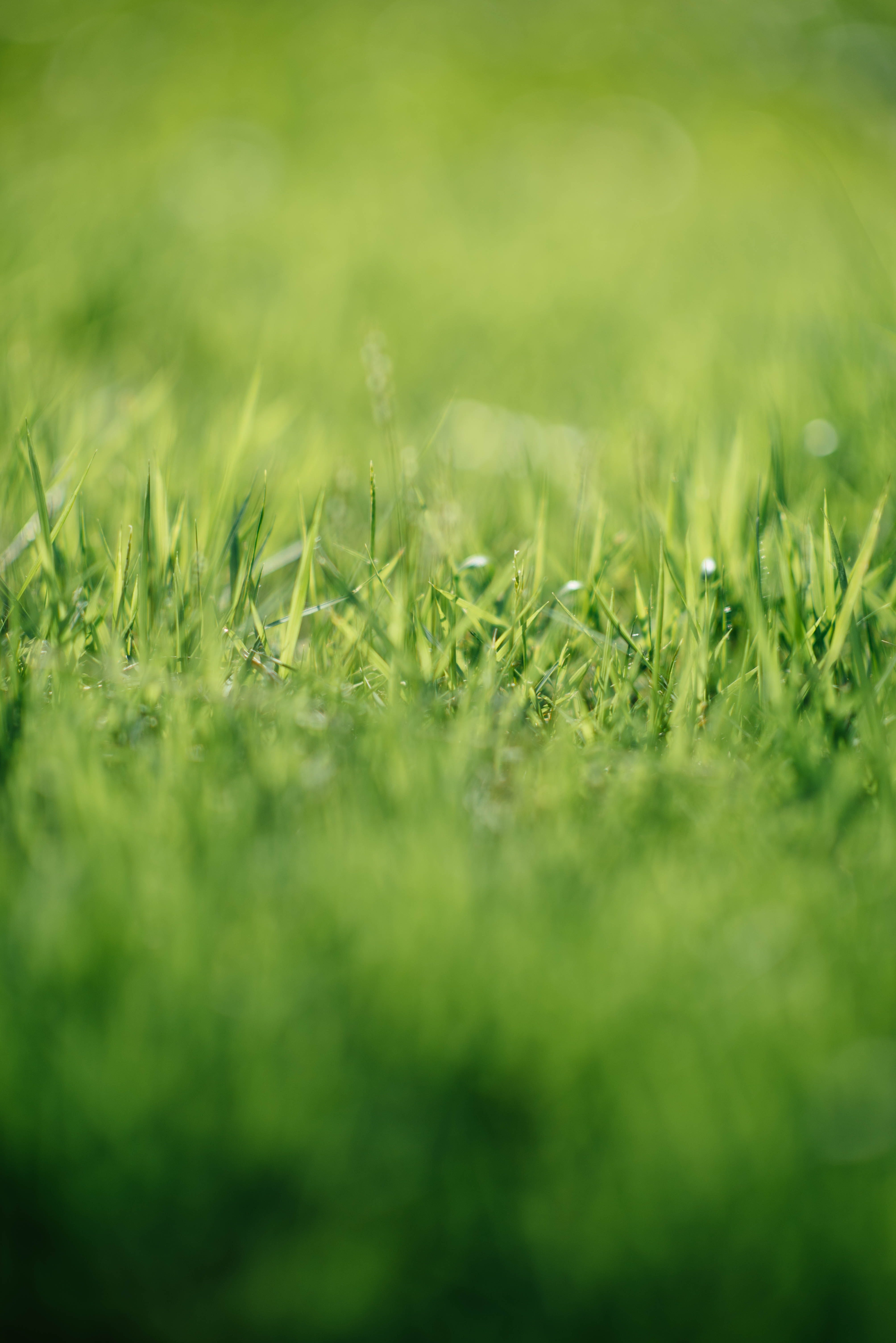de ideale maaihoogte voor het gras van uw gazon kiezen stiga magazine de ideale maaihoogte voor het gras van uw gazon kiezen stiga magazine