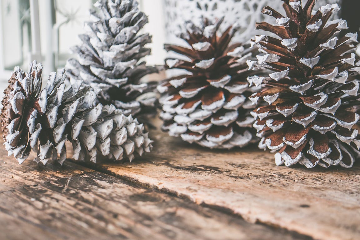 pine cones painted in white on a wooden table