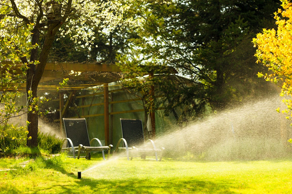 Comment entretenir un grand jardin sans y passer trop de temps ?