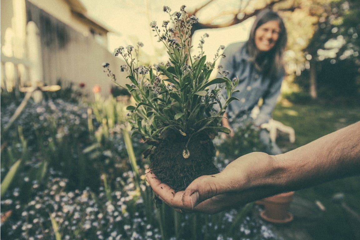 A hand holding a lavender plant, a woman smiling in the background.