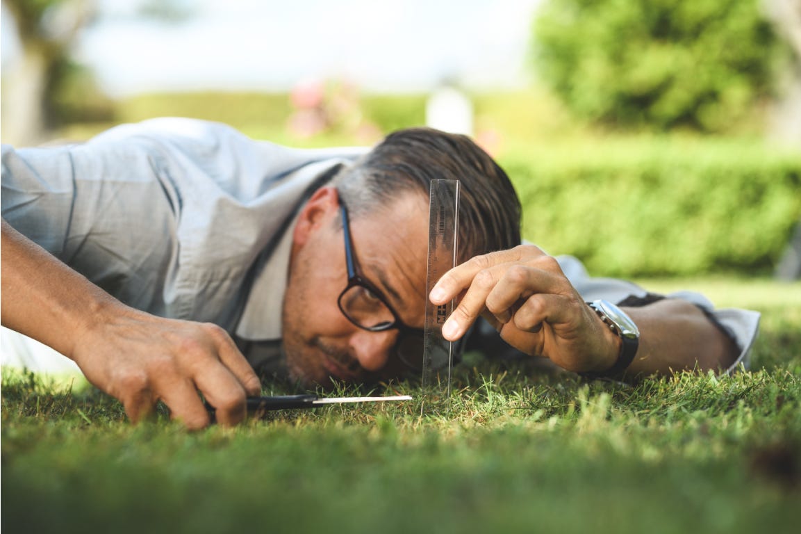 Man with glasses, ruler and scissors cutting the grass Man with glasses, ruler and scissors cutting the grass