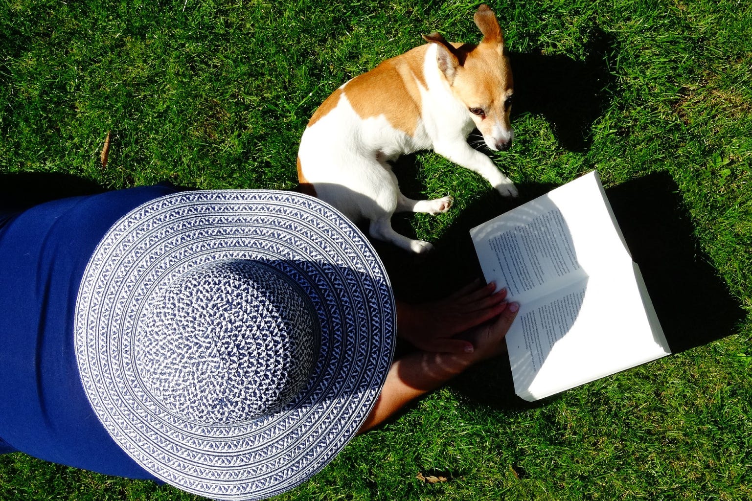 Woman with book and small dog lying in the grass