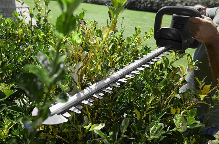 Battery hedge trimmers