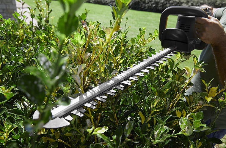 Petrol hedge trimmers
