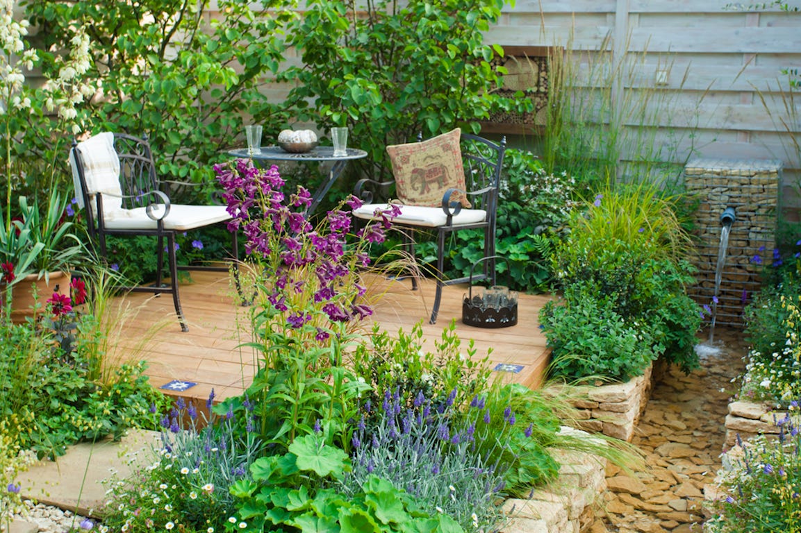 jardin avec terrasse en bois et plante autour