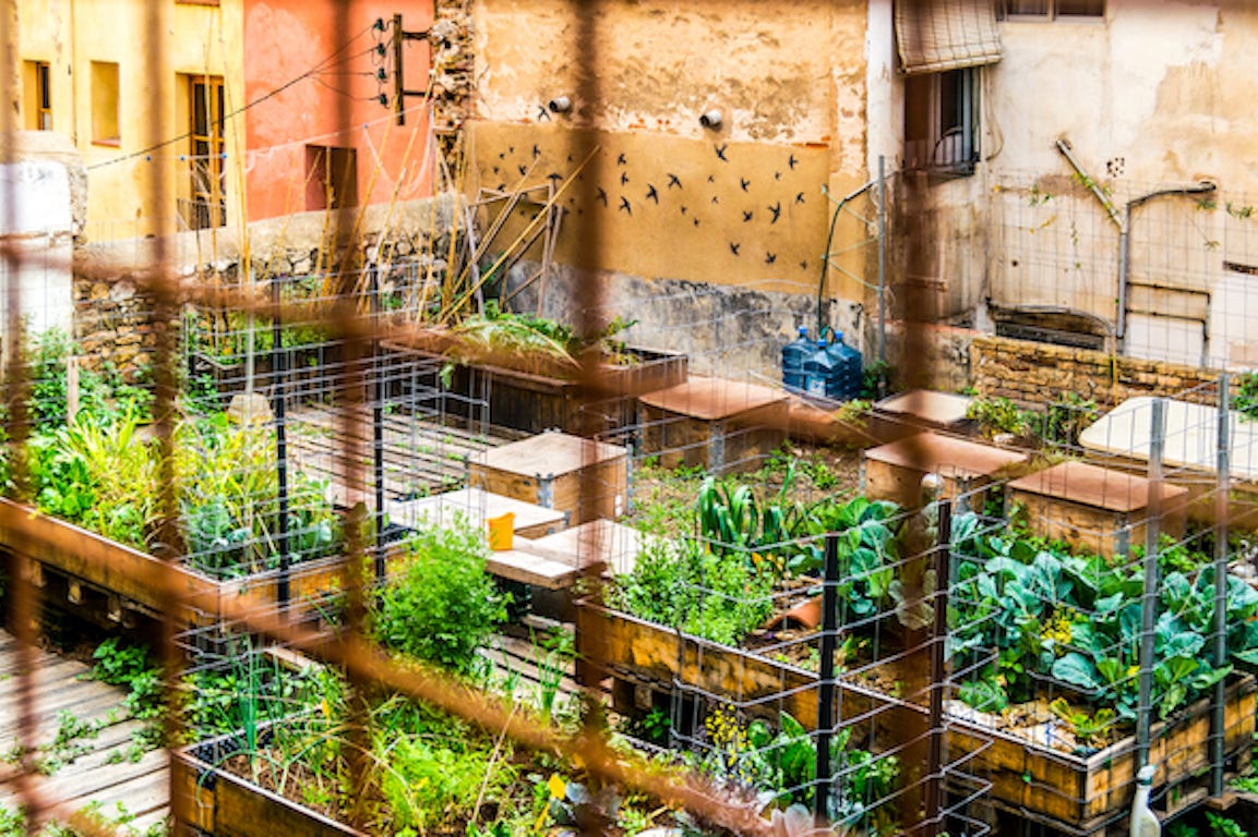 jardin sur un toit d'immeuble