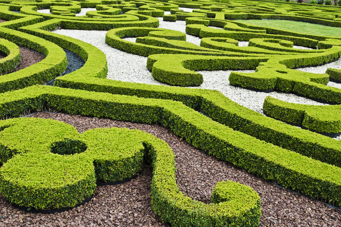 jardin à la française buis symétriques