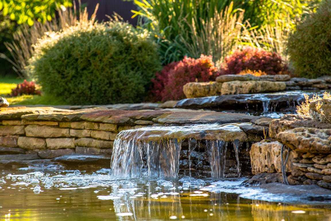 Plan d'eau dans un jardin