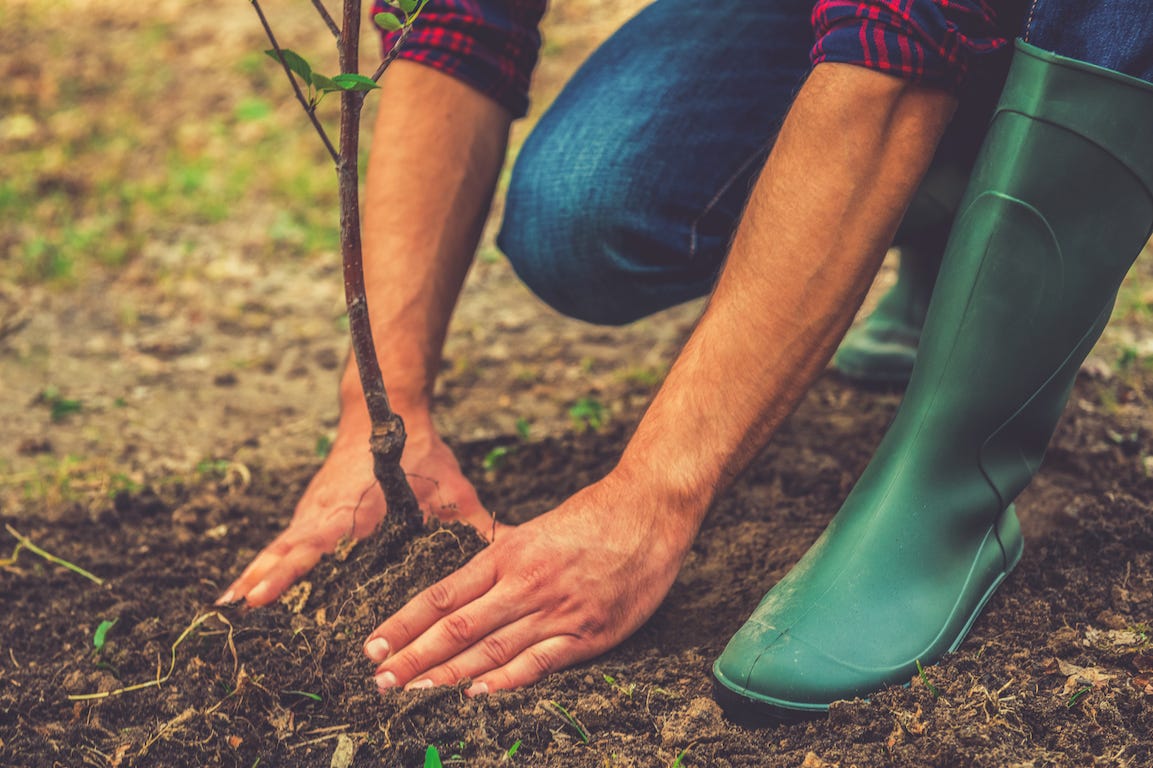 Comment entretenir un grand jardin sans y passer trop de temps ?