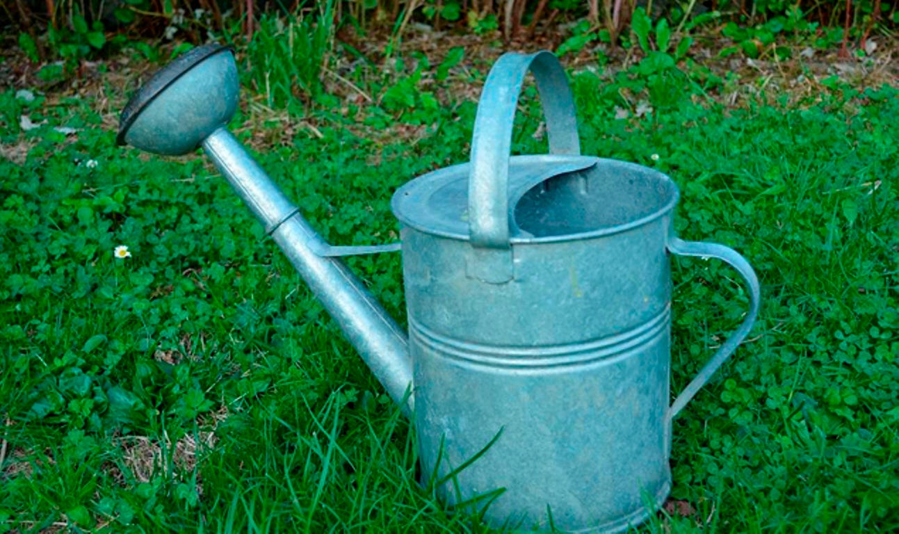 Checklist: Garden maintenance during Summer Manual watering is the right solution to take care of your garden.