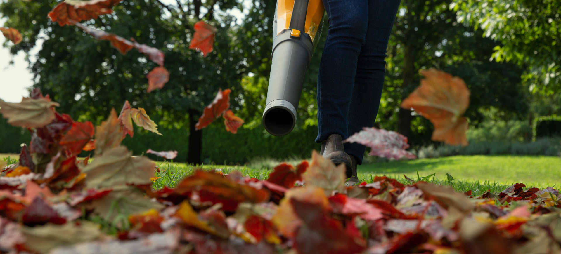 leaf blower clearing leaves