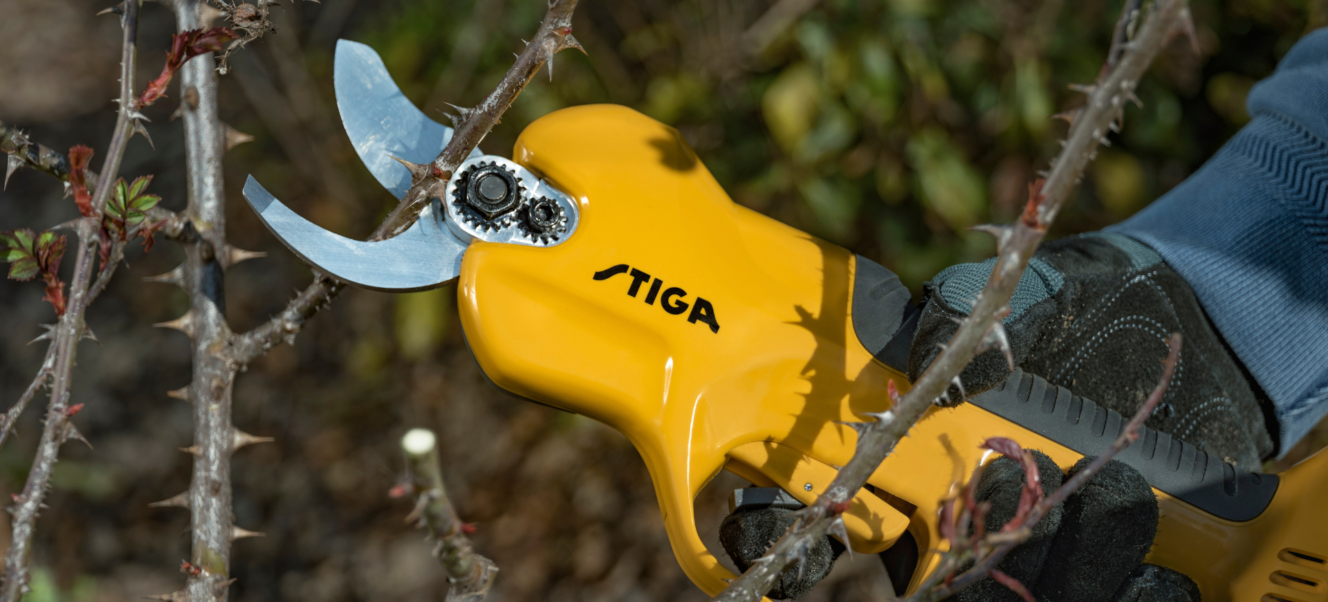 battery-powered pruner cutting through brambles STIGA