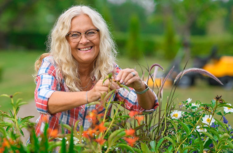 Medelålders kvinna med vitt långt hår klipper röda tulpaner från en blomsterrabatt med grön bakgrund