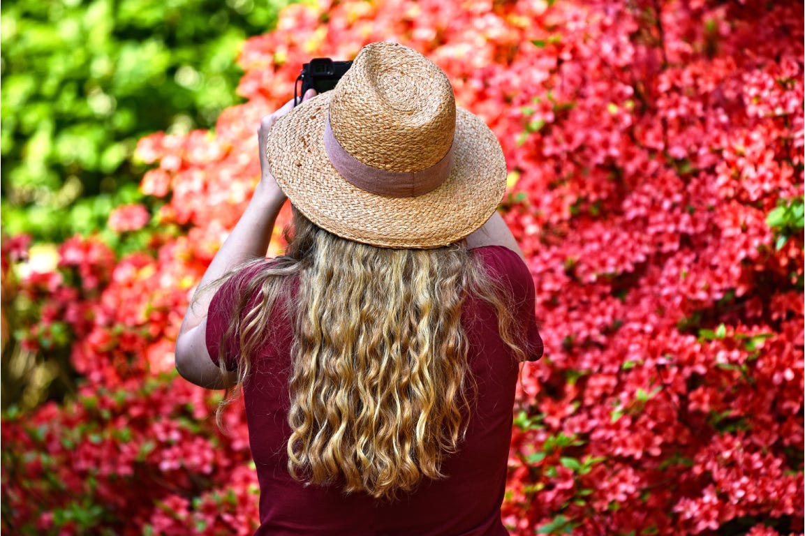 Take a picture of your garden before the cold season Take a picture of your garden before the cold season