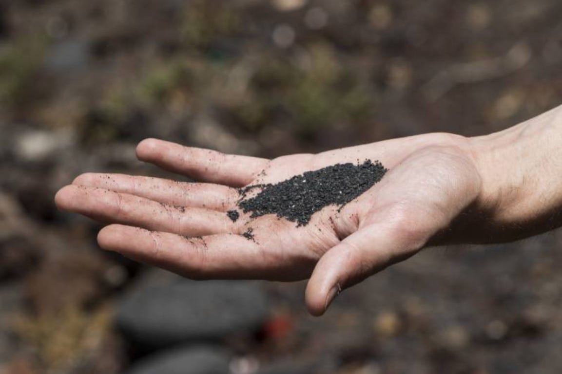 hand holding ashes to feed the soil during winter