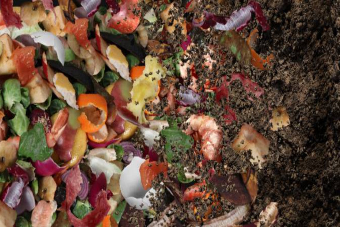 compost made of a mix of rotten fruit and vegetables