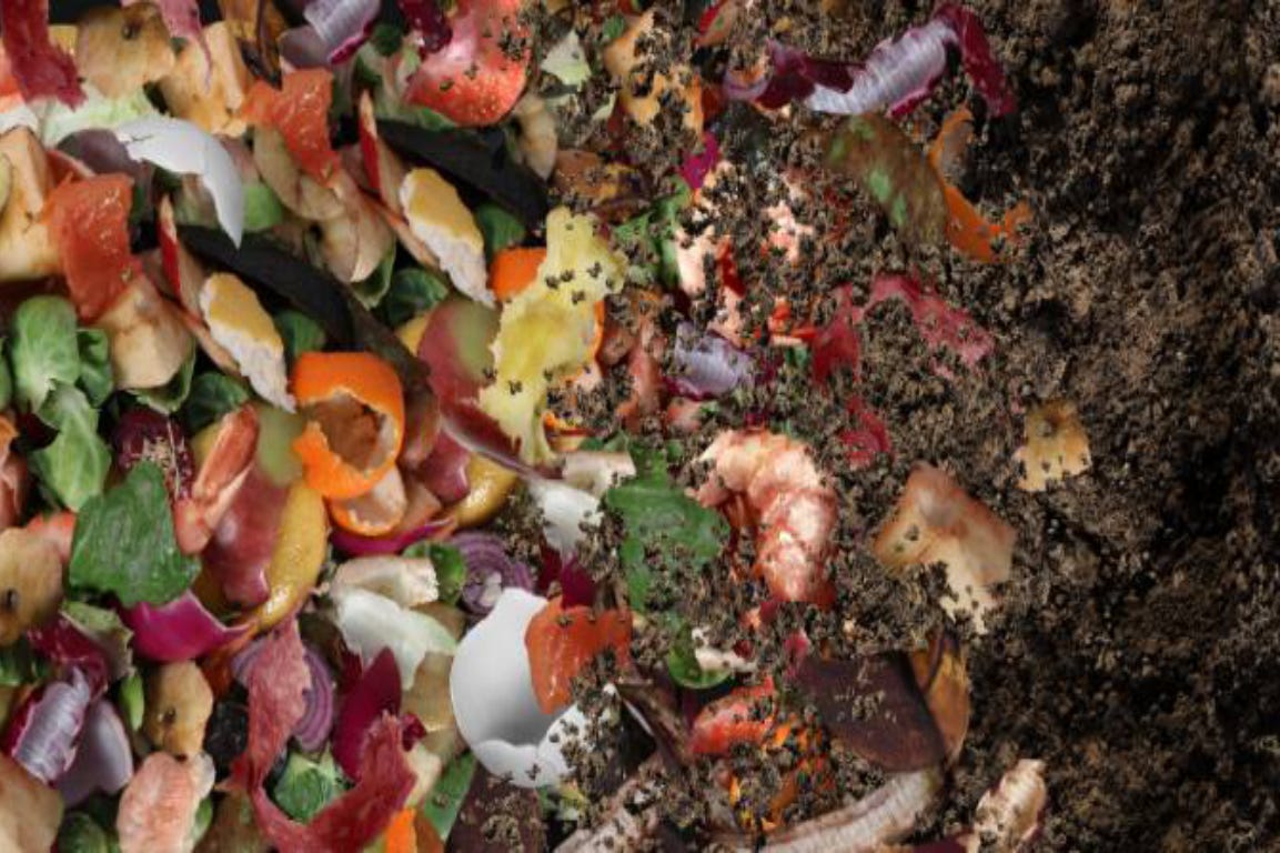 compost made of a mix of rotten fruit and vegetables 